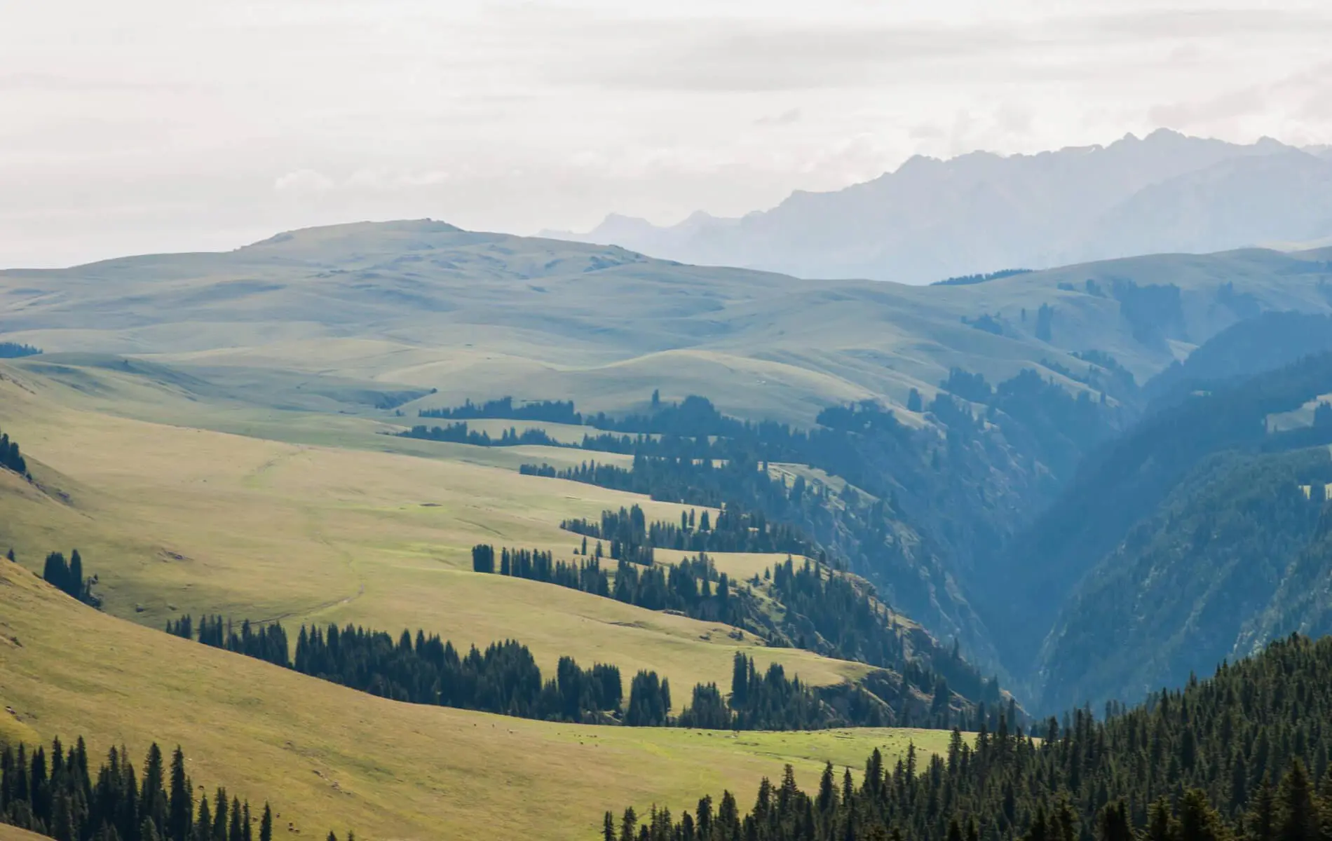 a view of a valley with mountains in the background.