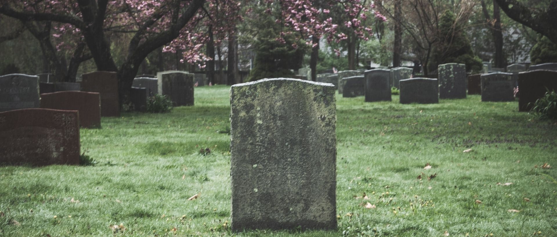 a cemetery with a bunch of headstones in the grass.