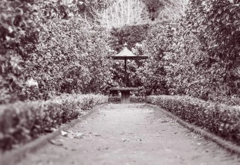 a black and white photo of a path in a park.